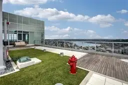Rooftop puppy Lounge- Pet friendly!