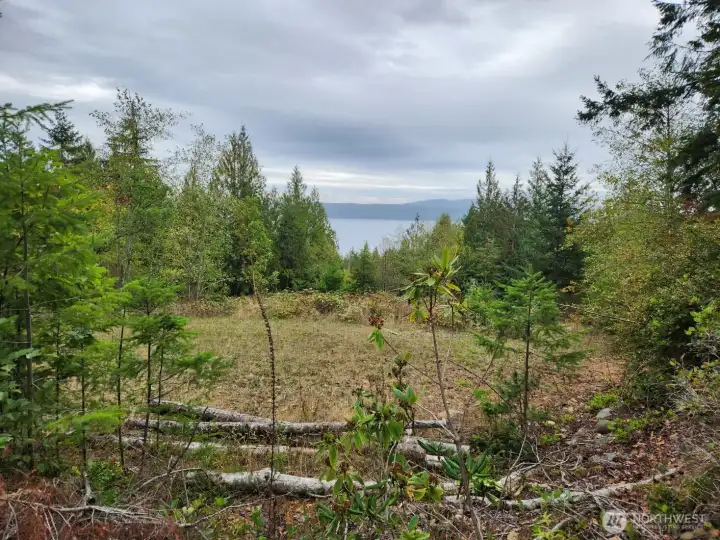 Nice level potential building site with Hood Canal view