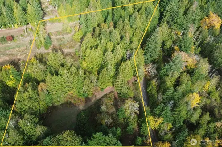 Aerial view of the 3.4 acres