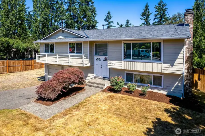 Beautiful 43 year old Japanese maple at entrance