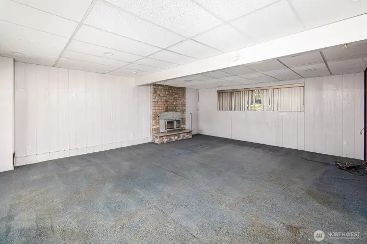 Spacious split entry basement with wood burning fireplace