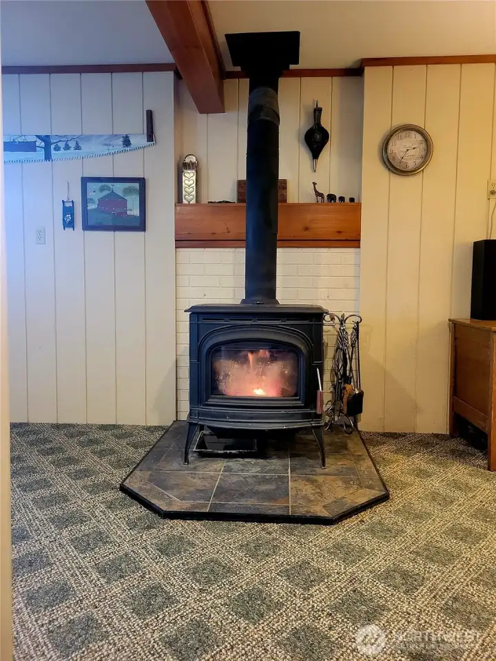 Wood Burning Stove