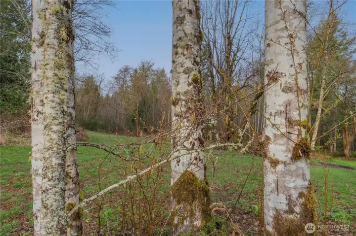 Nature surrounds you on this property.