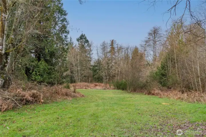 This could be your view out your back window.