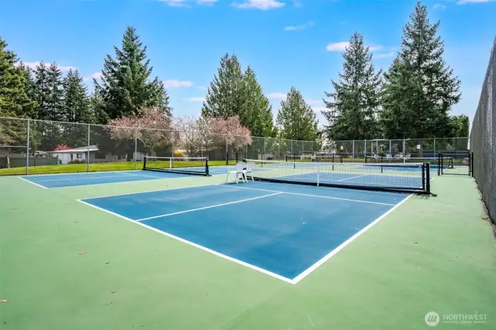 These pickleball courts await!