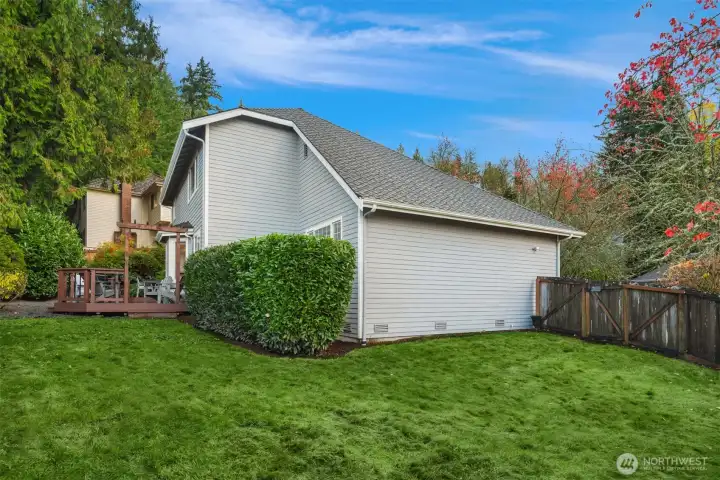 Backyard Lawn