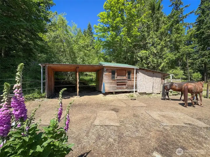 corral/out building