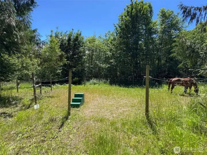 pasture area in the middle of the property
