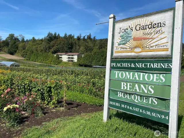 Joe's Gardens