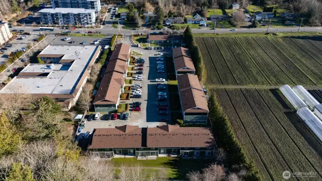 Looking east with Joe's Gardens & Farm store