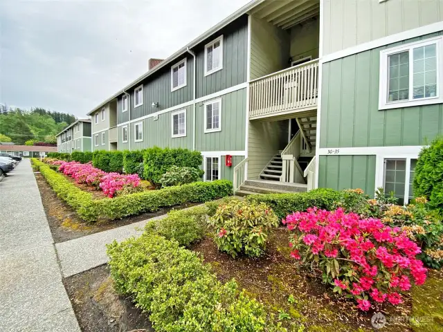 Beautiful Landscaping through out the whole property