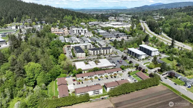 Looking North towards Sehome Arboretum & Sehome Village