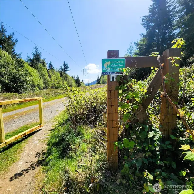 Olympic adventure trail, just steps from your house.