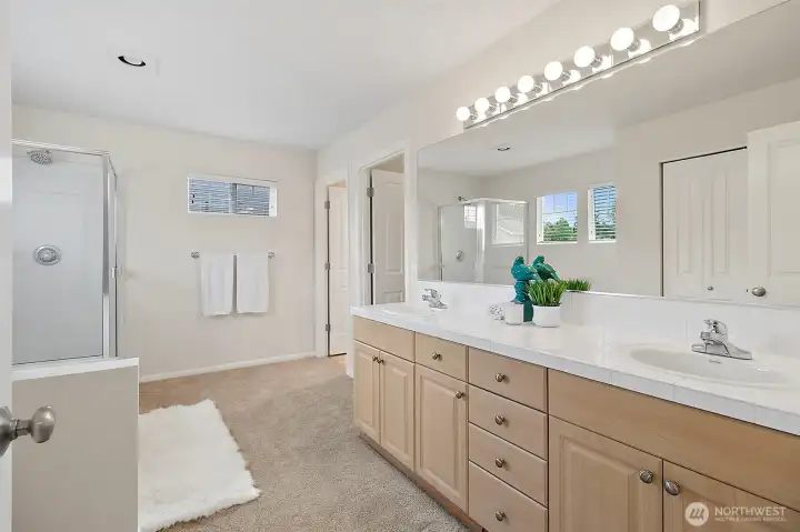 Primary bedroom walk-in closet and private toilet area.