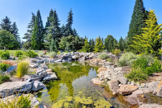 30 ft waterfall, floating pond and river