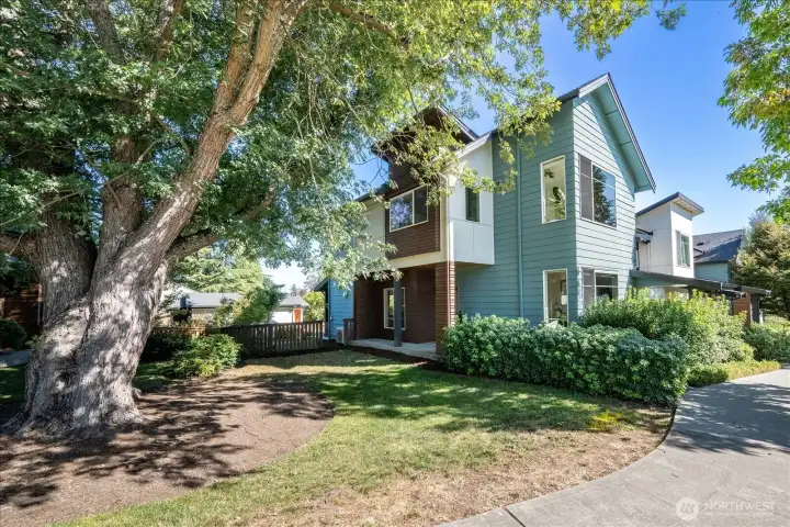 Welcome to this 3 bedroom, 2.25 bath home townhome in the coveted community of Rainier Vista! Across a park and a corner-unit provides sunlight and privacy!