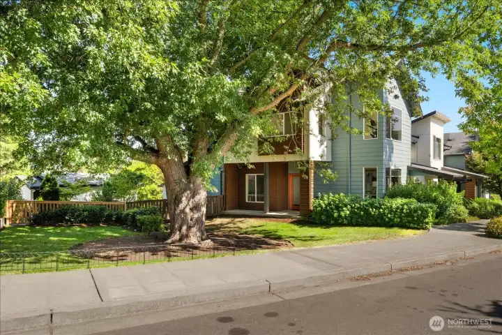 Welcome home to this fully updated, 3 bedroom, 2.25 bath home with an office nook and garage! Very-well maintained and vibrant community in the heart of it all!