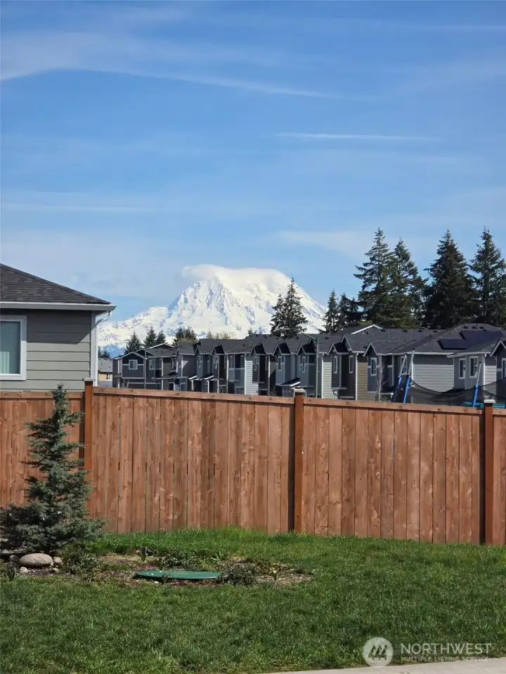 Picture from backyard last summer