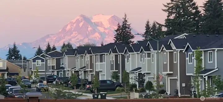 This is taken from the yard