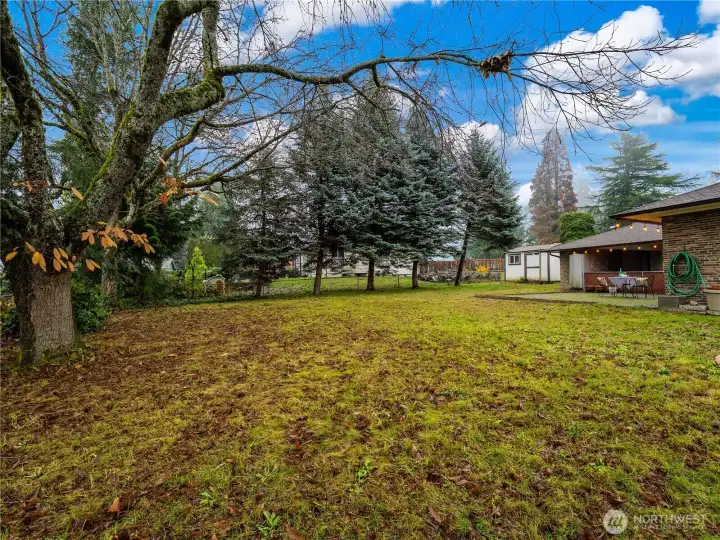 The back yard is fully fenced and a blank canvas that it's new owner can let their creative juices flow. The large patio is a great space to relax and enjoy an outdoor meal.