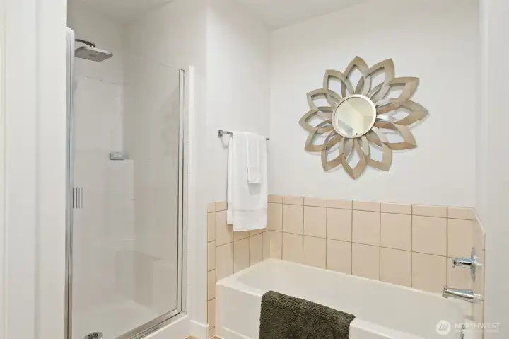 Nice separate shower and bathtub in primary bathroom - brand new big shower head.