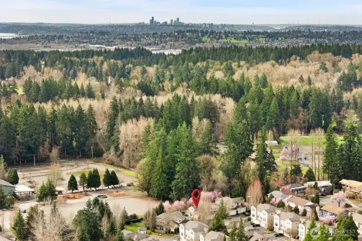 Aerial view showing proximity to parks and lakes.
