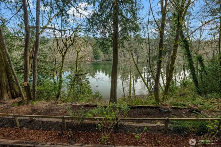 Minter Bay waterfront with wooded privacy and natural shoreline