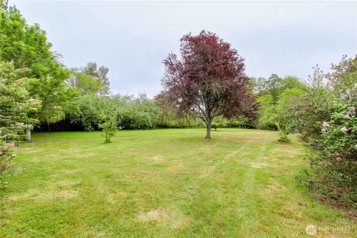 Park like setting all through property