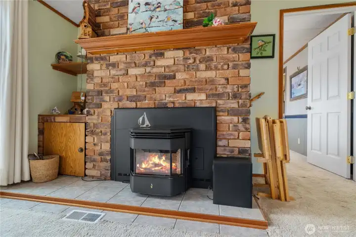 Pellet stove