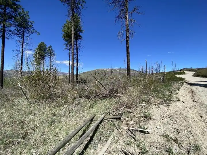 Southeast Corner at street looking North