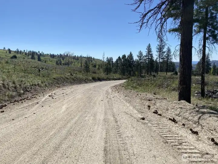 Buzzard Lake Road