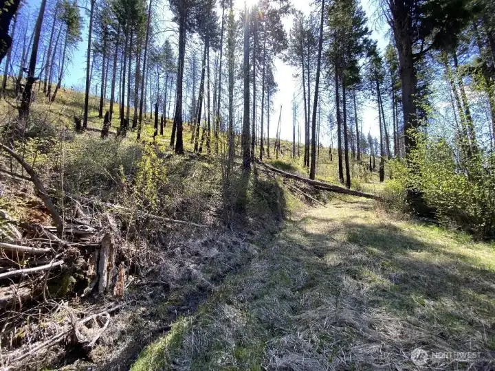 Lower switchback looking south