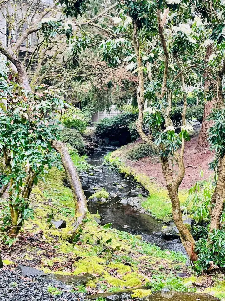 Outlook of creek and courtyard