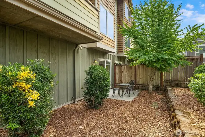 Large, fenced outdoor space.