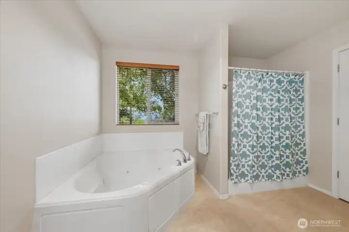 Primary Bedroom Jetted Soaking Tub and Step-In Shower