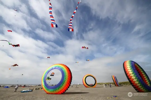 The Washington State International Kite Festival is a week-long kite celebration and competition held annually during the third full week of August.