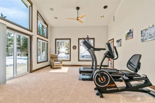 Tranquil workout room