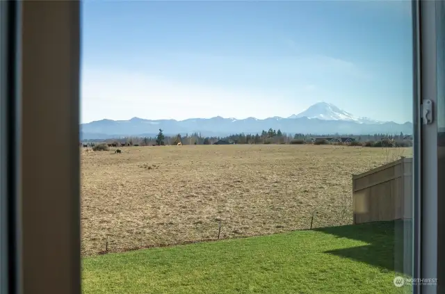 There it is—one of the breathtaking, majestic views of Mt. Rainier.