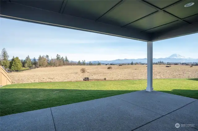 The view of the Cascade Range and Mt. Rainier from your private patio is absolutely breathtaking!