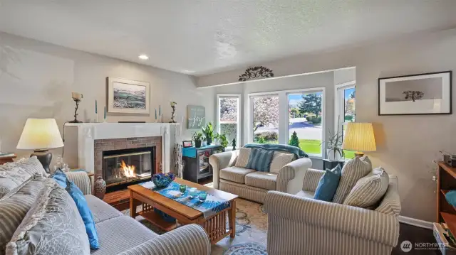 Bright and inviting living room with abundant natural light and snug fireplace.