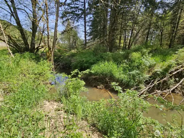 Your very own year round creek.
