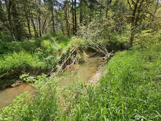 Beautiful Lost Creek in your backyard.
