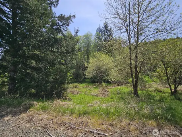 Property in front has nice level ground, and to the back over the creek is the hill.