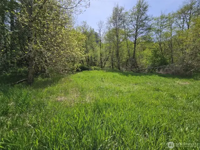 Beautiful lush landscape.