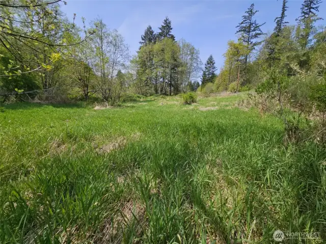Lots of privacy, the deer love it out here!
