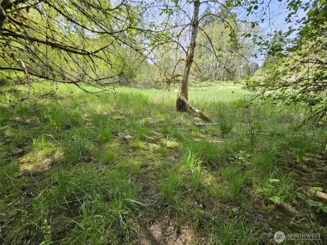 Shady spots, and sunny spots, the best of both worlds.