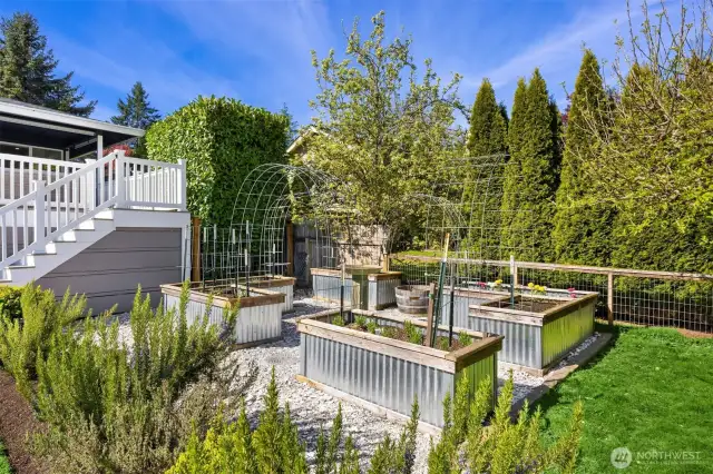 Raised beds connected to irrigation lines