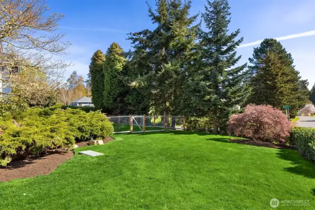 Fully fenced back and side yard for summer fun!