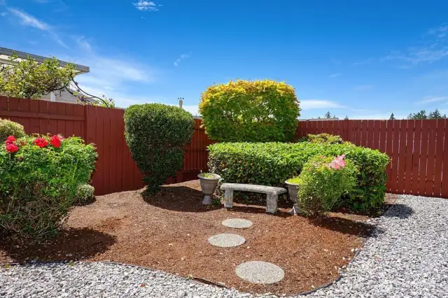 Garden backyard