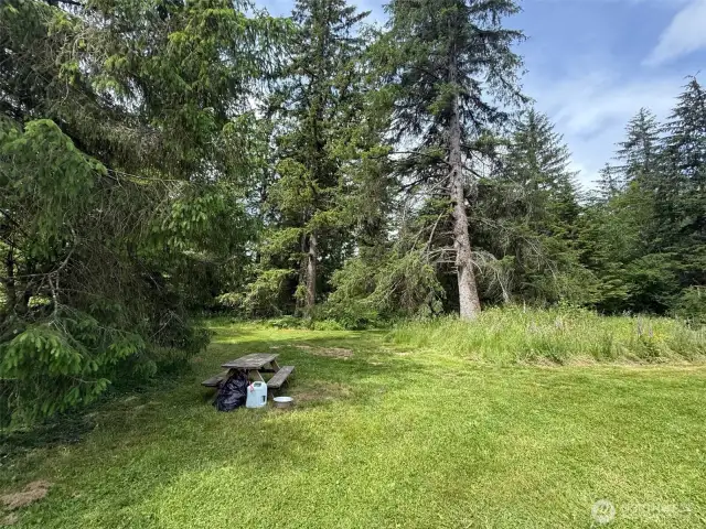 PikNik Area
